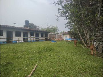 MARAVILLOSA FINCA EN QUIMBAYA