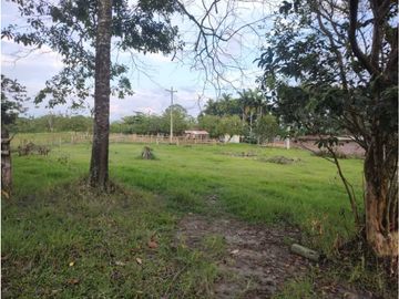 MARAVILLOSA FINCA EN QUIMBAYA