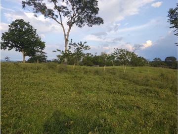 MARAVILLOSA FINCA EN QUIMBAYA