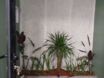 Rumah Murah Siap Huni di Tanah Baru Beji