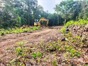 Dekat Kampus Mercubuana Jogja, Tanah Sedayu Bantul: Luas 100an m2