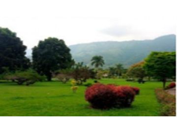VENDE EDIFICIO COMERCIAL B/ TABLONES PALMIRA