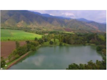VENDE EDIFICIO COMERCIAL B/ TABLONES PALMIRA