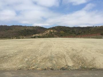 Terreno Parque Industrial Km 29,5 Via Daule - Petrillo 16391 m2