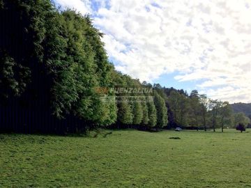 Parcela en Venta en Lago Puyehue-Mantilhue