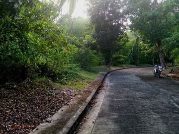179 Sqm Residential Lot for Sale in Greenville Heights Consolacion Cebu