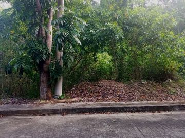 179 Sqm Residential Lot for Sale in Greenville Heights Consolacion Cebu