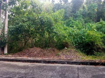 179 Sqm Residential Lot for Sale in Greenville Heights Consolacion Cebu