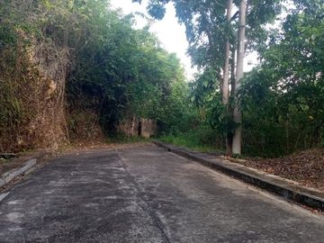179 Sqm Residential Lot for Sale in Greenville Heights Consolacion Cebu