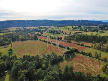 Sitio en venta en Panguipulli