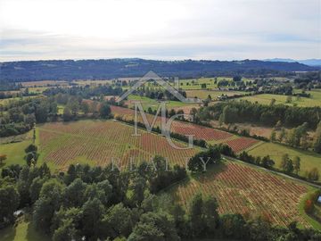 Sitio en venta en Panguipulli