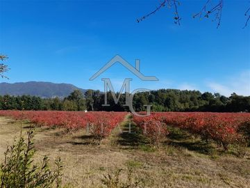 Sitio en venta en Panguipulli