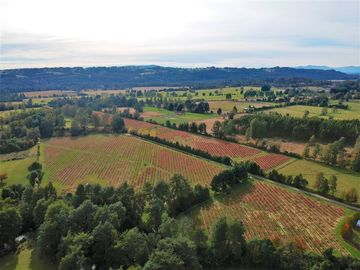 Sitio en venta en Panguipulli