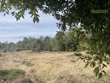 Agrícola en Venta en Ruta 5 cruce Maullin