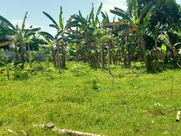 tanah kavling dekat pusat kota jember emersi