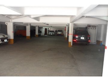 Palmeras IX Nº 14
