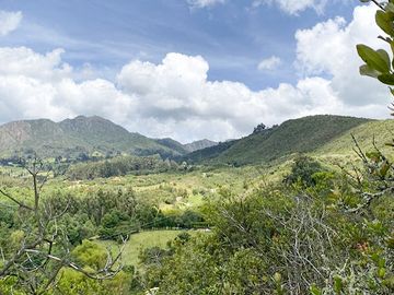 VENTA de LOTES en COGUA