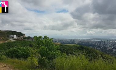 FOR SALE OVERLOOKING LOT IN THE PEAK MONTERRAZAS DE CEBU