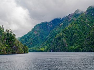 Parcelas con lago y bosque nativo en Panguipulli Puerto Fuy