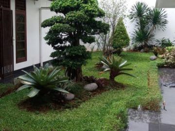 RUMAH at JL PROF.MOH YAMIN, MENTENG, T/B. 719/600 - JARANG ADA (DIJUAL)