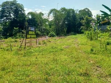 tanah kavling emersi jember lokasi tengah kota