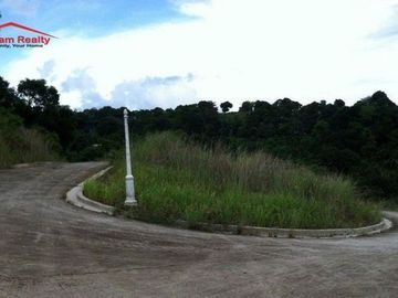 LOT FOR SALE in Antipolo Rizal FOR MORE INQUIRIES, contact: DONALD PORTUGUEZ SUN# 0933825---- TM# 0955561----