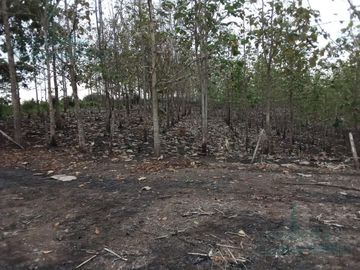 VENTA DE FINCA EN CANTÓN PALENQUE LOS RÍOS A 5KM VIA BALZAR