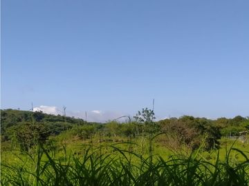 VENDO TIERRAS 258 HECTAREAS EN OLA