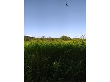 VENDO TIERRAS 258 HECTAREAS EN OLA
