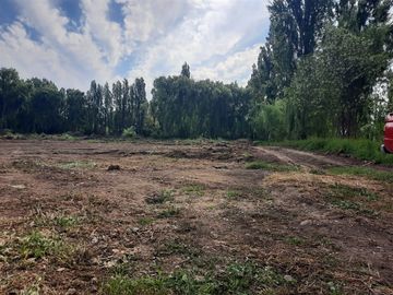 Sitio 5000 metros en venta en San Vicente