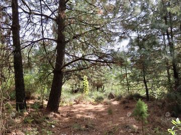 Casa de Campo en Venta, Huitzilac, Morelos -  V235