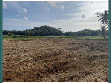 Kavling Utara Stasiun Kedundang; Akses Bandara YIA; SHM