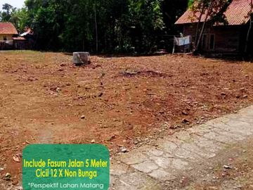 Selatan Pasar Bumijawa Tegal: Legalitas SHM Darat