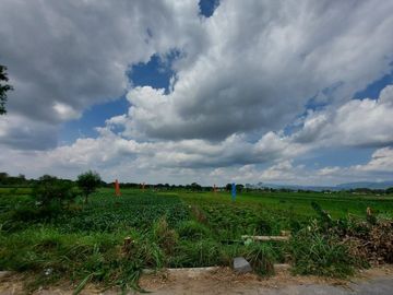 Hanya Dengan 355 Juta Sudah Dapat Rumah Klasik Idaman