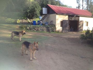 Curacaví, campo de agrado, buena casa, cerros, ecuestre