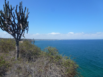 Se Vende Terreno para Desarrollar Frente al Mar en Playa Rosada