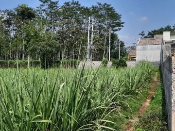 Tanah 3000 meter dijual di pakis