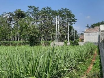Tanah 3000 meter dijual di pakis