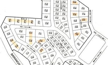 Commercial and Residential Lot located in Consolacion