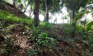 Titled Commercial / Residential lot for Sale, San Fernando City, La Union (SOLD)