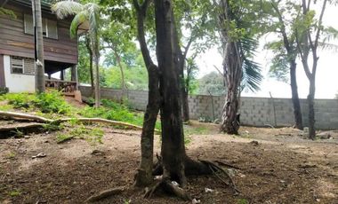 Titled Commercial / Residential lot for Sale, San Fernando City, La Union (SOLD)