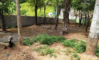 Titled Commercial / Residential lot for Sale, San Fernando City, La Union (SOLD)
