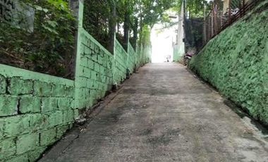 Titled Commercial / Residential lot for Sale, San Fernando City, La Union (SOLD)