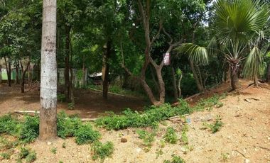 Titled Commercial / Residential lot for Sale, San Fernando City, La Union (SOLD)