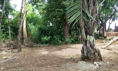 Titled Commercial / Residential lot for Sale, San Fernando City, La Union (SOLD)