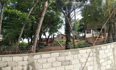 Titled Commercial / Residential lot for Sale, San Fernando City, La Union (SOLD)