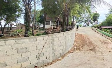 Titled Commercial / Residential lot for Sale, San Fernando City, La Union (SOLD)