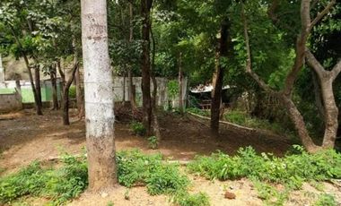 Titled Commercial / Residential lot for Sale, San Fernando City, La Union (SOLD)