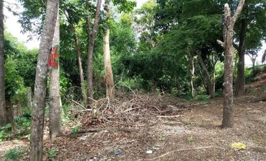 Titled Commercial / Residential lot for Sale, San Fernando City, La Union (SOLD)