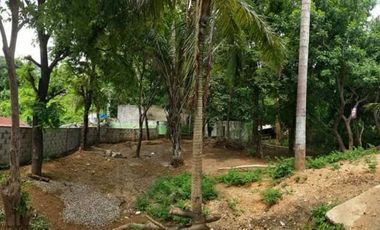 Titled Commercial / Residential lot for Sale, San Fernando City, La Union (SOLD)